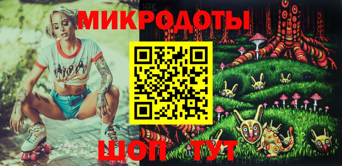 Галлюциногенные грибы Psilocybe Армавир