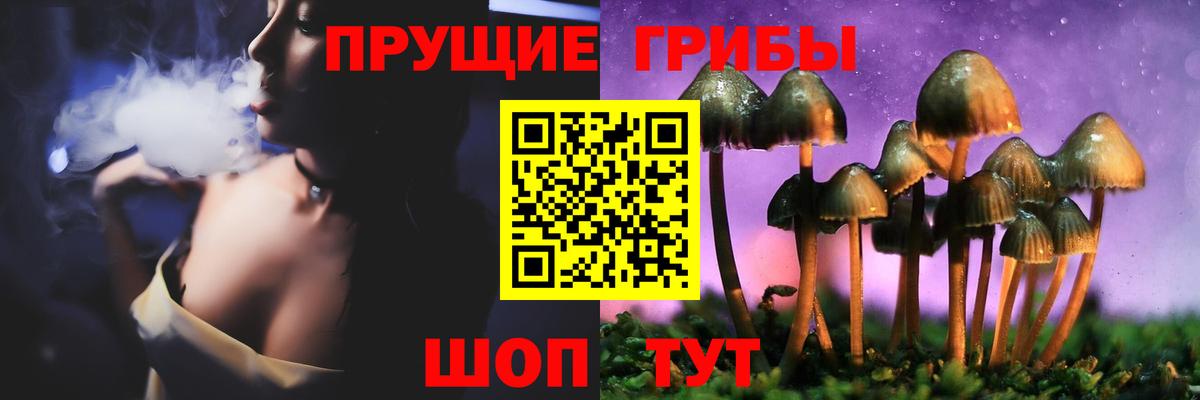 где купить   Галлюциногенные грибы Psilocybe  Армавир  Вход с VPN  Галлюциногенные грибы MAGIC MUSHROOMS 